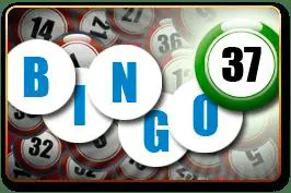 Bingo 37 cover image