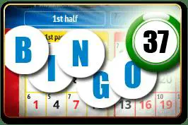 Bingo 37 Ticket cover image