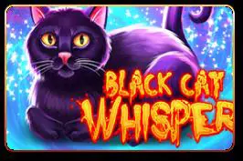 Black Cat Whisper cover image