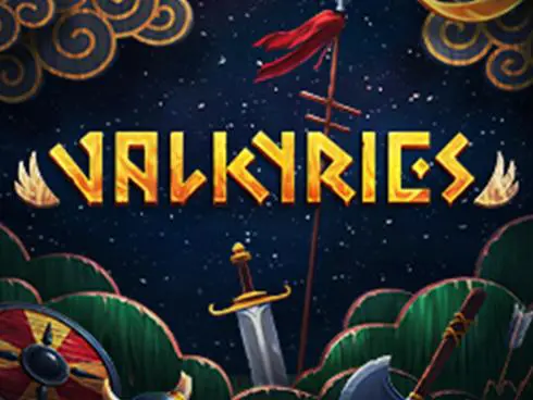 Valkyries cover image