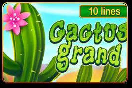 Cactus Grand cover image