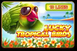 Lucky Tropical Birds cover image