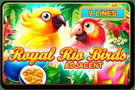 Royal Rio Birds cover image