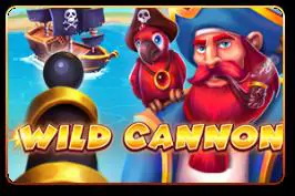 Wild Cannon cover image