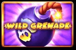 Wild Grenade cover image