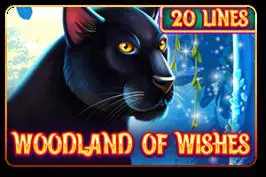 Woodland of Wishes cover image