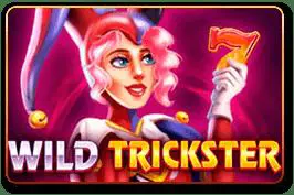 Wild Trickster cover image