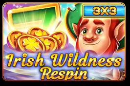 Irish Wildness (Reel Respin) cover image