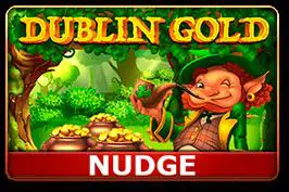 Dublin Gold (nudge) cover image