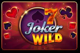 Poker 7 Joker Wild cover image