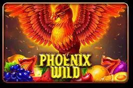 Phoenix Wild (3x3) cover image