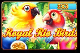 Royal Rio Birds (3x3) cover image