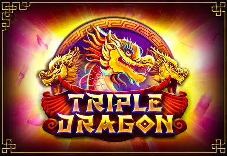 Triple Dragon cover image