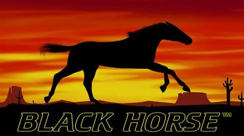 Black Horse cover image