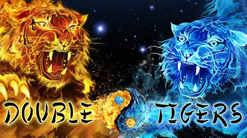 Double Tigers cover image