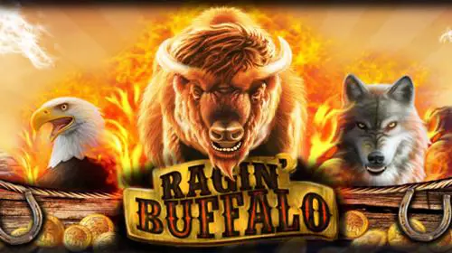 Ragin' Buffalo cover image