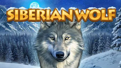 Siberian Wolf cover image