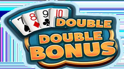 DOUBLE DOUBLE BONUS cover image
