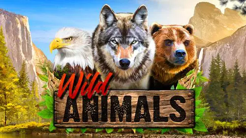 Wild Animals cover image