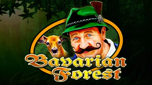 Bavarian Forest cover image