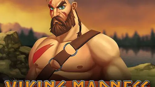 Viking Madness cover image