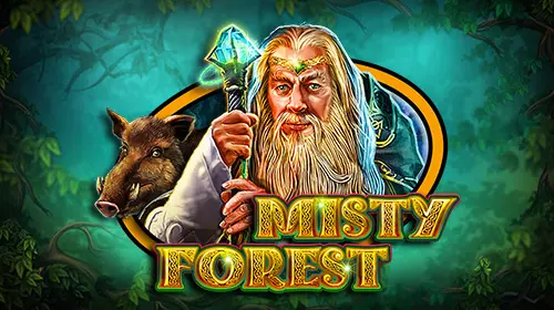 Misty Forest cover image