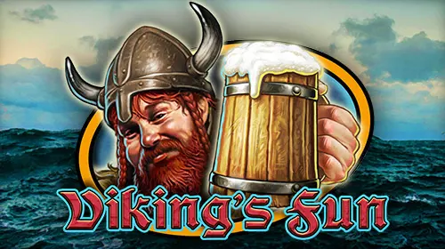 Viking's Fun cover image