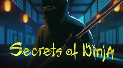 Ninja cover image