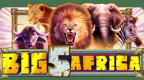 Big 5 Africa cover image