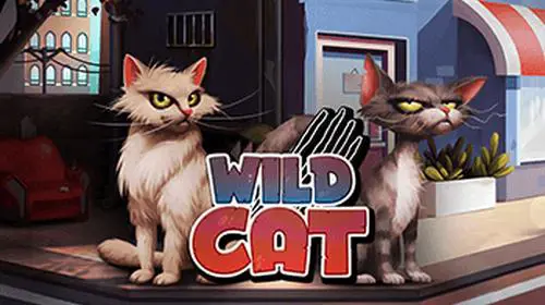 Wild Cat cover image