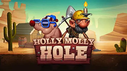 Holly Molly Hole cover image