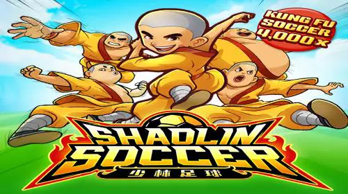 Shaolin Soccer cover image