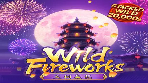 Wild Fireworks cover image