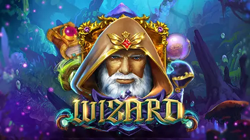 Wizard cover image