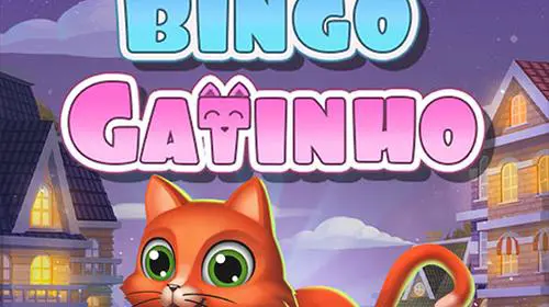Bingo Gatinho cover image