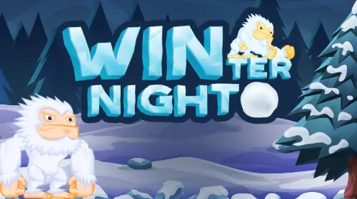 Winter Night cover image
