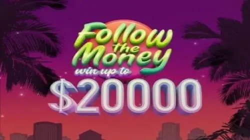 Follow the money cover image