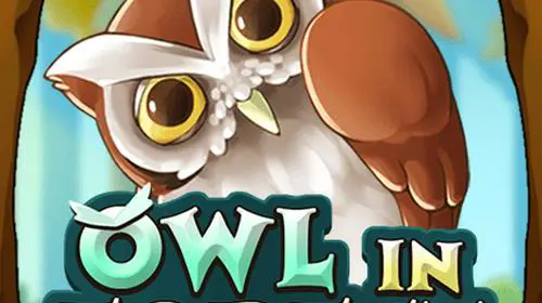Owl In Forest cover image