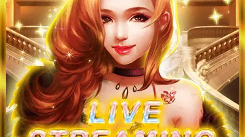 Live Streaming Star cover image