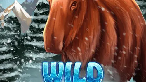 Wild Alaska cover image