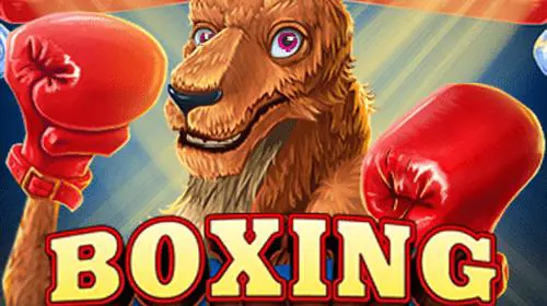 Boxing Roo cover image