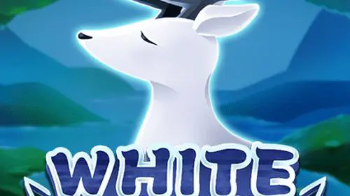 White Deer cover image