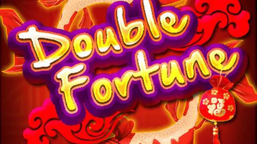 Double Fortune cover image