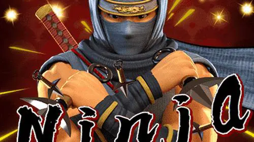 Ninja cover image