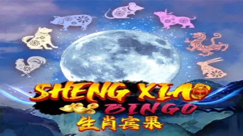 Sheng Xiao Bingo cover image