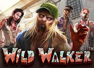 Wild Walker cover image