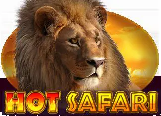 Hot Safari cover image
