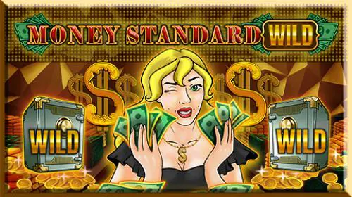 Money Standard Wild cover image