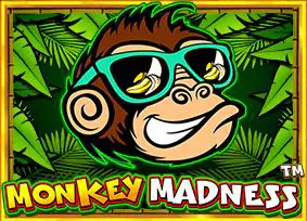 Monkey Madness cover image