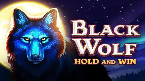 Black Wolf cover image